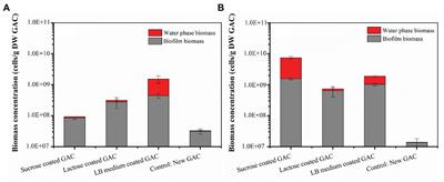 Substrate Pre-loading Influences <mark class="highlighted">Initial Colonization</mark> of GAC Biofilter Biofilms